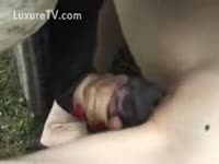 Bestiality Porn - She Rubs a Horse&#039;s Dick in Her Pussy untill it Ejaculates